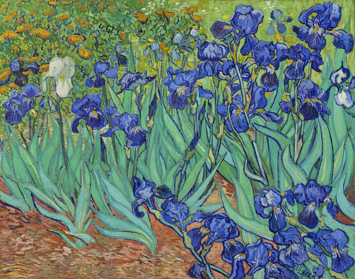 Irises (1889) - Vincent Van Gogh
