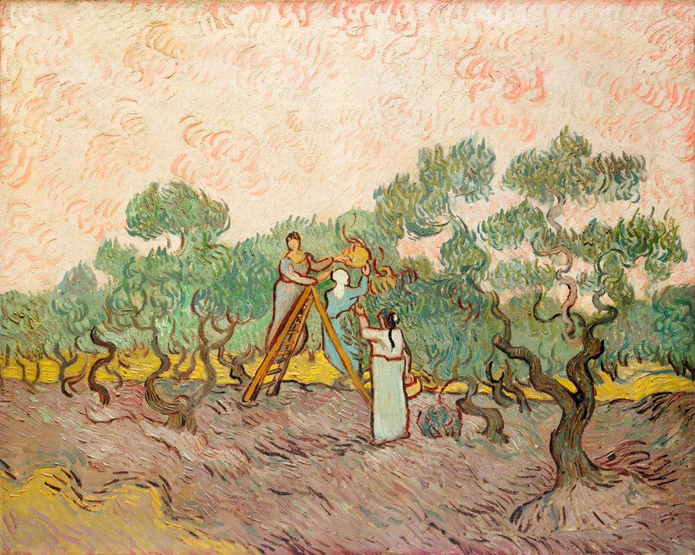 Women Picking Olives (1889) - Vincent Van Gogh