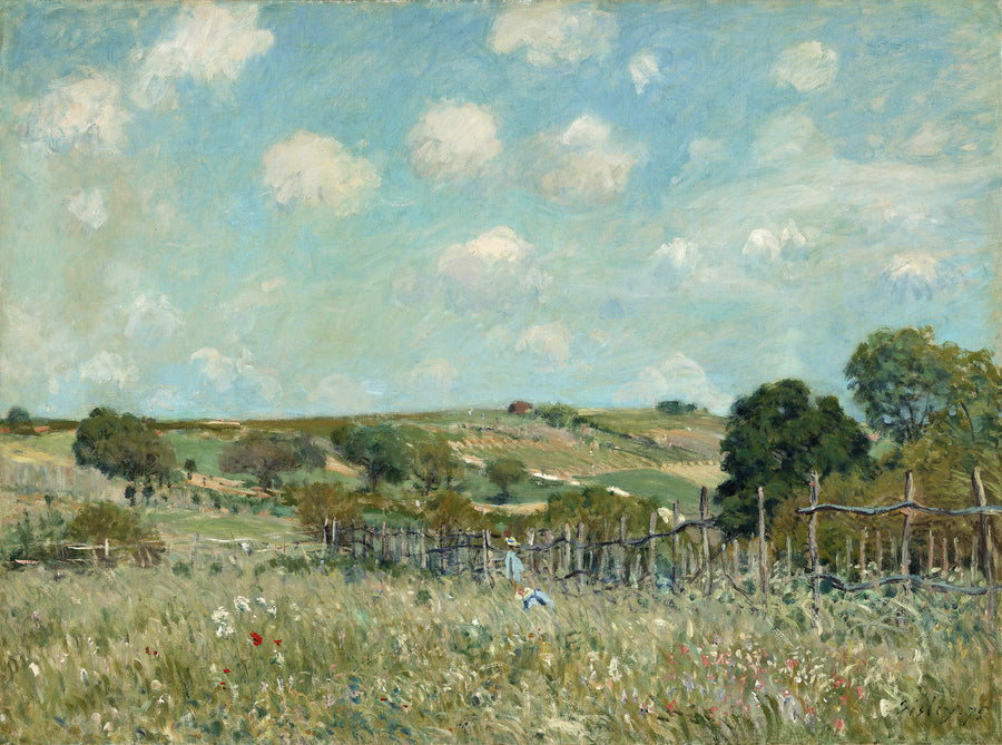 Meadow, 1875 by Alfred Sisley