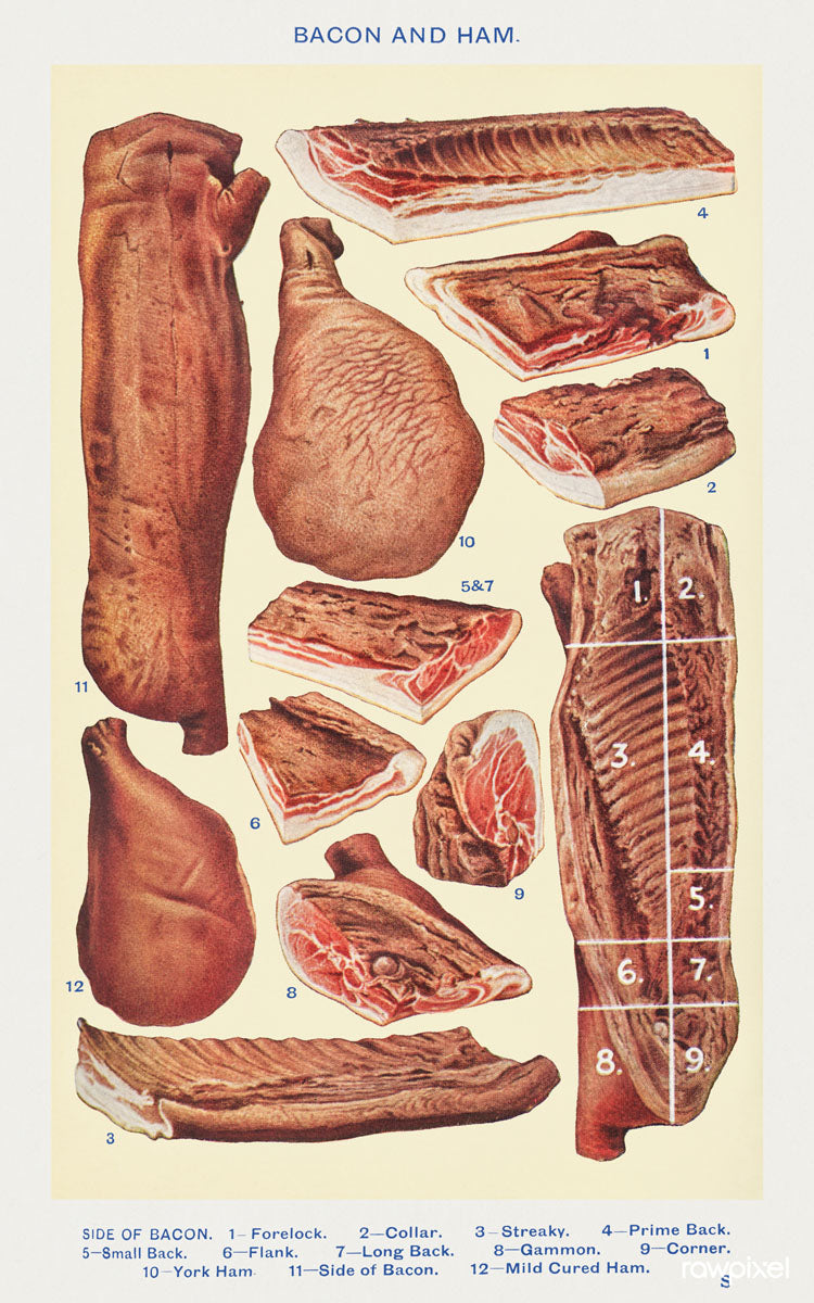 Bacon and Ham, 1923 - Mrs. Beeton's Book of Household Management