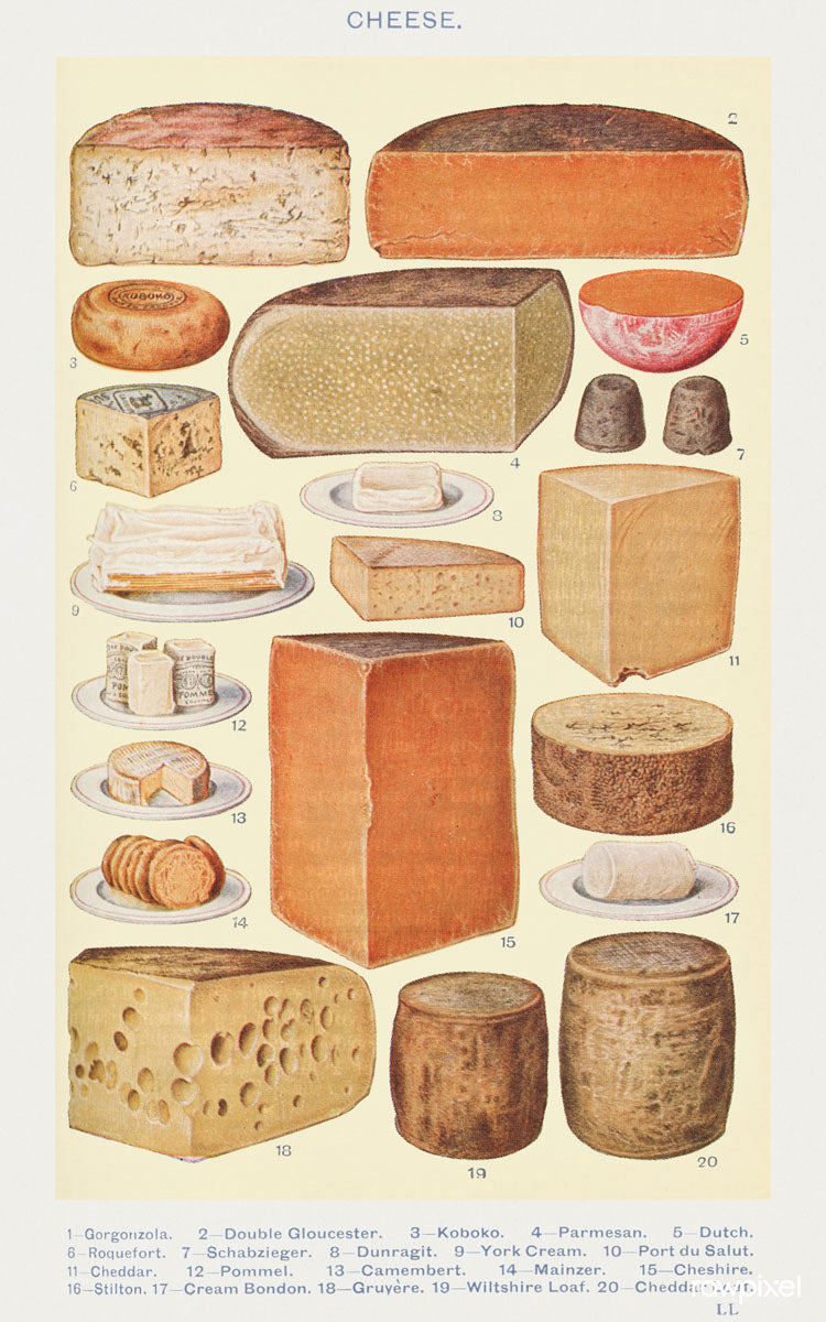Cheese, 1923 - Mrs. Beeton's Book of Household Management