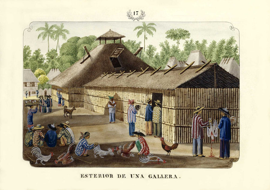 Esterior de una Gallera [sic], 1847 by José Honorato Lozano