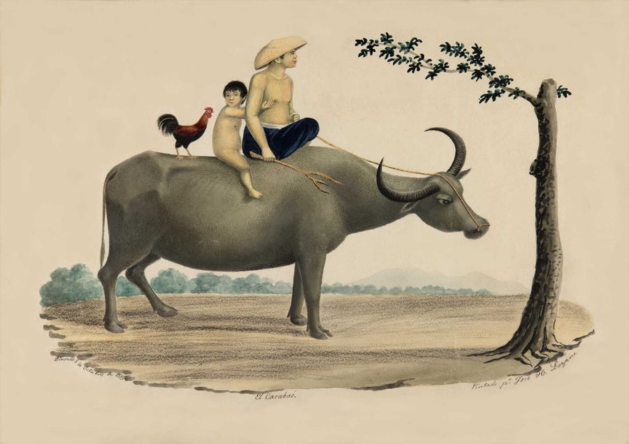 El Carabao, 1855 by José Honorato Lozano