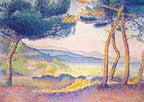 Pines Along the Shore, 1896 by Henri Edmond Cross