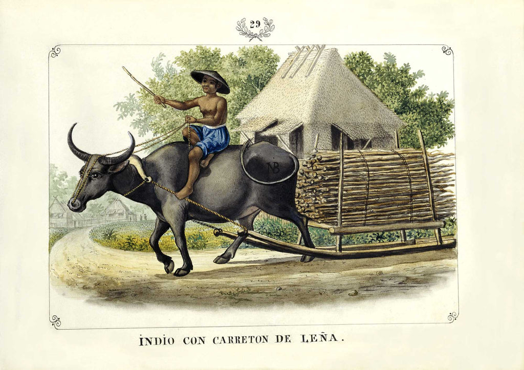 Indio con Carretón de Leña, 1847 by José Honorato Lozano