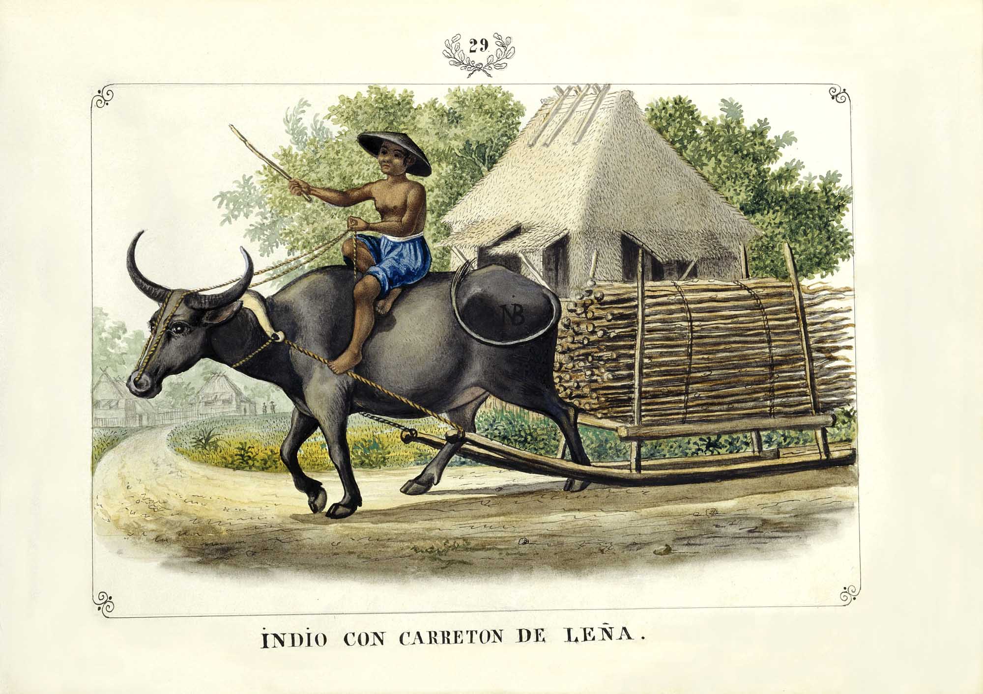 Indio con Carretón de Leña, 1847 by José Honorato Lozano
