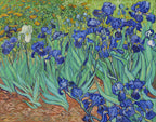 Irises, 1889 by Vincent van Gogh