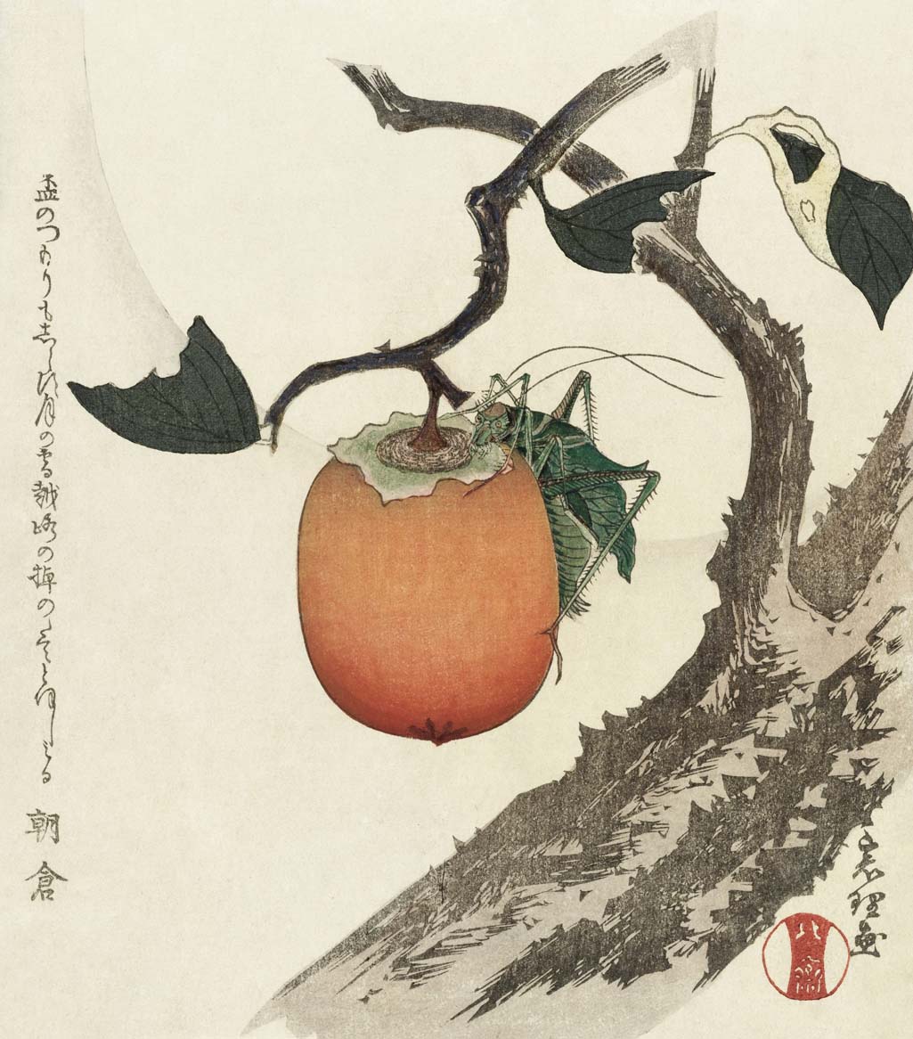 Locust on Persimmon - Katsushika Hokusai