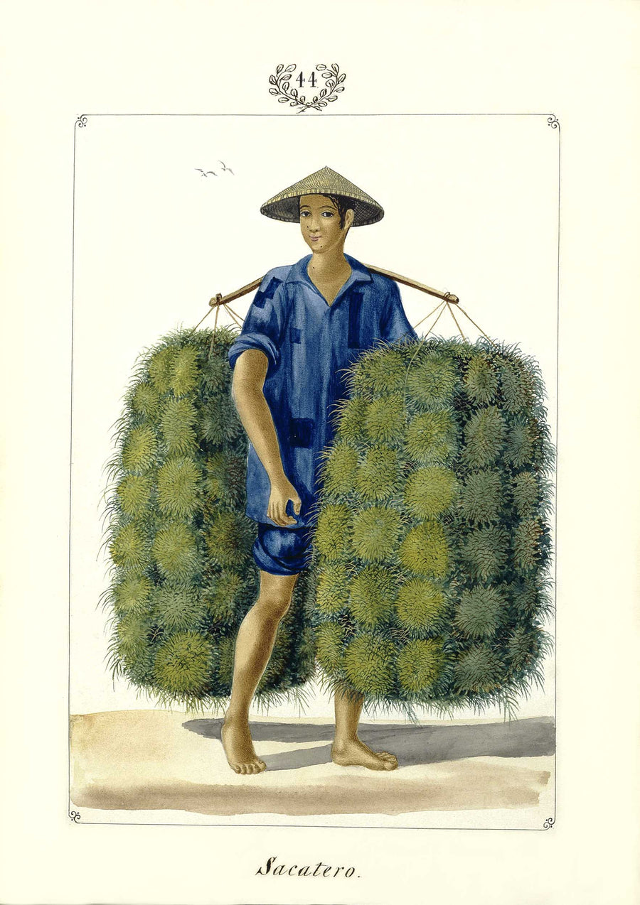 Sacatero [sic], 1847 by José Honorato Lozano