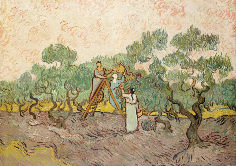 Women Picking Olives (1889) - Vincent Van Gogh (Art Print)