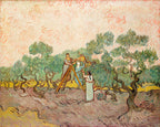 Women Picking Olives, 1889 by Vincent van Gogh