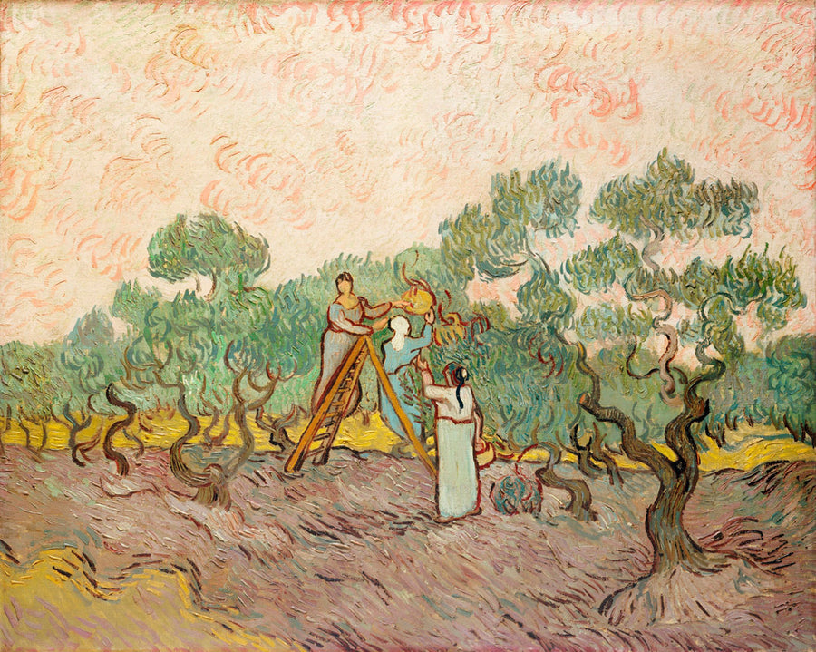 Women Picking Olives (1889) - Vincent Van Gogh