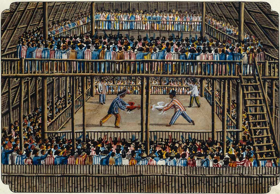 Interior de la gallera (1847) - Philippines vintage illustration