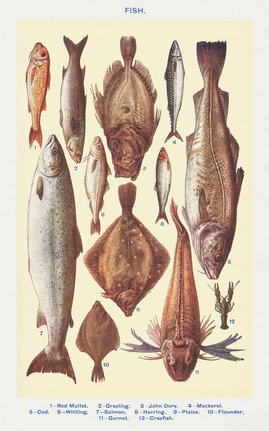 Fish, 1923 - Mrs. Beeton's Book of Household Management